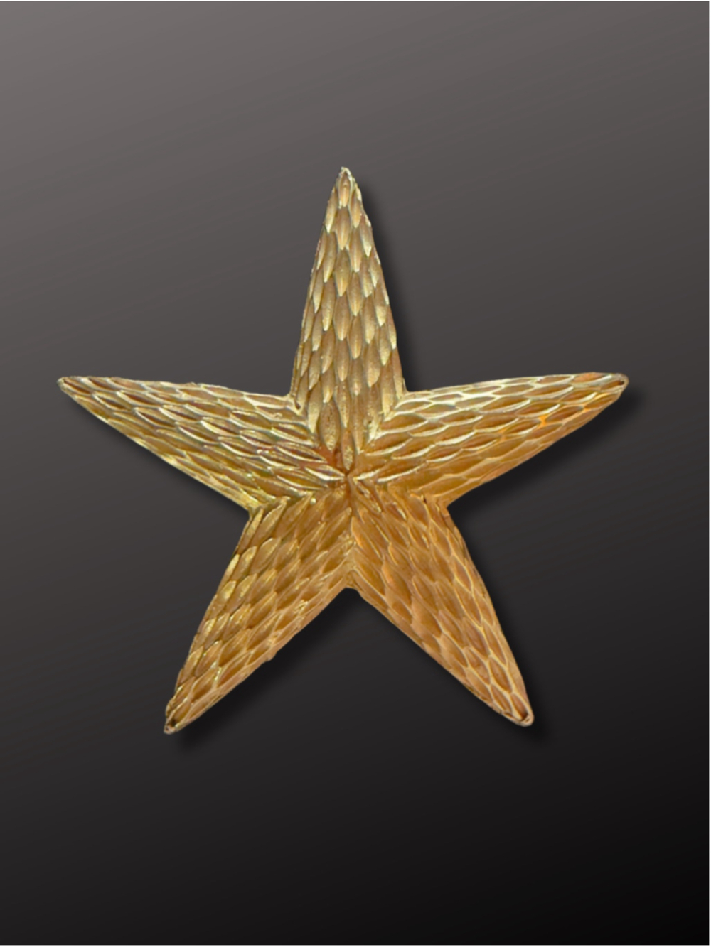 Vintage Gold Tone Textured Star Brooch Statement Pin